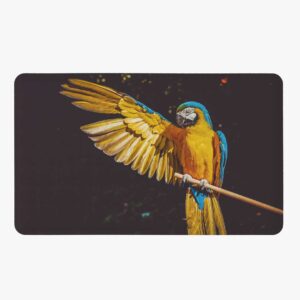 Macaw Parrot Mouse Pad - VNS Bazaar